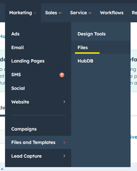 article rich content9